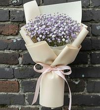 Букет цветов из:  Гипсофила в Поселок дома отдыха Озера