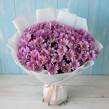 Букет цветов из:  Хризантемы в Поселок дома отдыха Озера