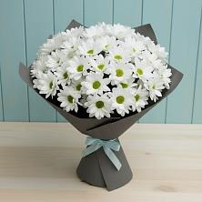 Букет цветов из:  Хризантемы в Поселок дома отдыха Озера
