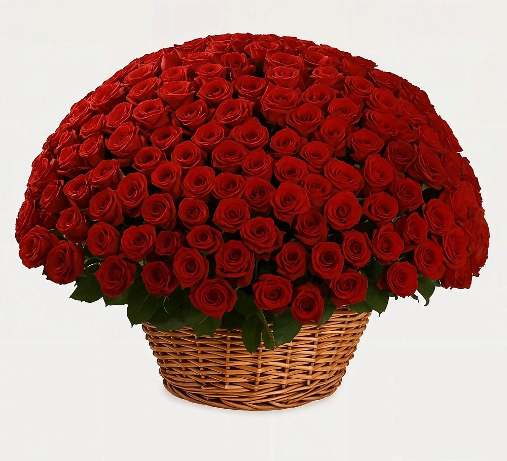 Премиум букет из: Розы в Поселок дома отдыха Озера