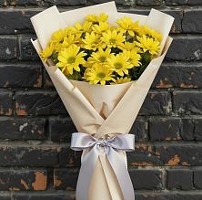 Букет цветов из:  Хризантемы в Поселок дома отдыха Озера
