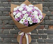 Букет цветов из:  Хризантемы в Поселок дома отдыха Озера