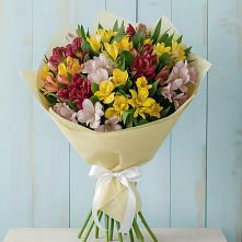 Букет цветов из:  Альстромерии в Поселок дома отдыха Озера