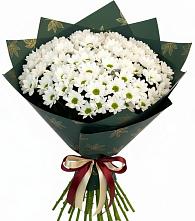 Букет цветов из:  Хризантемы в Поселок дома отдыха Озера