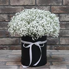 Цветочная композиция из Гипсофила в шляпной коробке в Поселок дома отдыха Озера