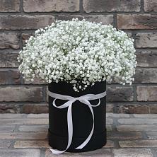 Цветочная композиция из Гипсофила в шляпной коробке в Поселок дома отдыха Озера