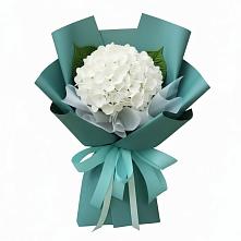 Букет цветов из:  Гортензия #REPLACE_PRED# Поселок дома отдыха Озера